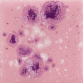 Pink Plum - 4-oz Mayco Jungle Gem Crystal Glaze